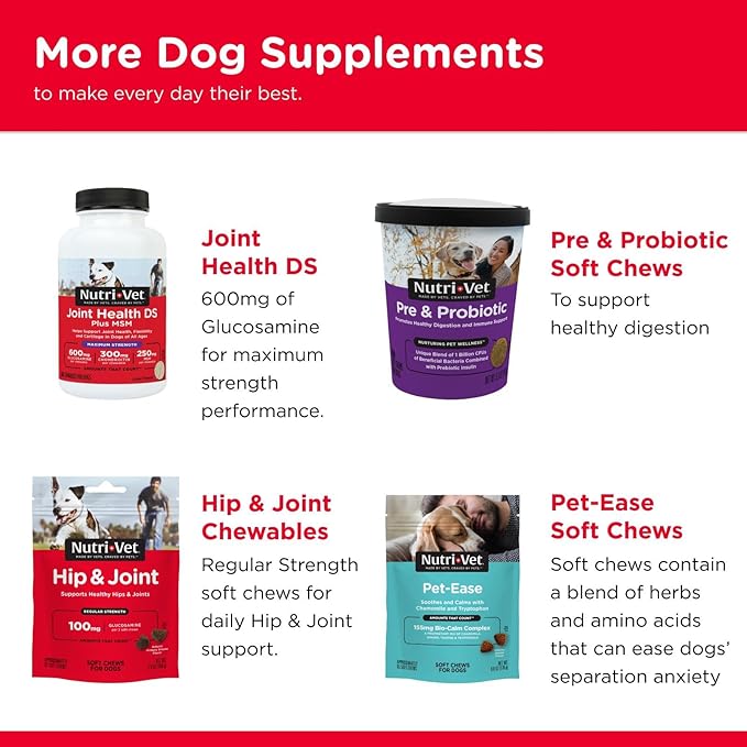 Nutri-Vet Hip & Joint Biscuits, Dog Joint Supplement, Dog Treat, Small Sized Biscuit with 166mg Glucosamine, Puppy Supplements, Tasty Glucosamine Treat, Puppy Essentials, 16 oz (Pack of 2)