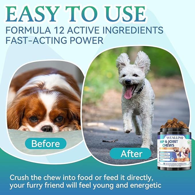 Joint Supplement for Dogs - Dog Joint Supplement Glucosamine Hip and Joint Chondroitin Chews Treats for Dogs with MSM Lipid Mussels Vitamins Dog Joint Support for All Breed 200pcs