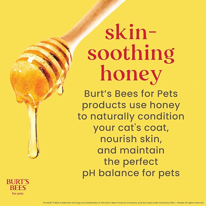 Burt's Bees for Pets Kitten Grooming Wipes with Buttermilk and Honey, Waterless Cat Bath Wipes for Face, Paws, Tail and Coat Cleaning, Gentle Bath Alternative for Indoor Felines, 50 Count