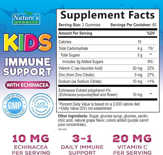 Kids Immune Support Supplement Gummies - Daily Childrens Vitamins C, Zinc & Echinacea - Gummy for Kids Immune Support, Ages 4 and Up, Natural Berry Flavor, Non-GMO, Gluten-Free & Vegan - 120 Gummies