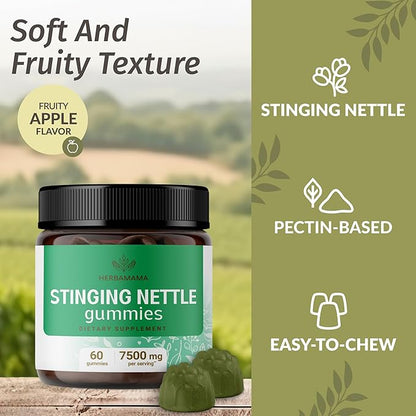 HERBAMAMA Stinging Nettle Gummies - 7500mg Stinging Nettle Root Extract for Urinary Tract Support for Women & Men - Vegan, Non-GMO Urtica Dioica Supplement - 60 Pectin-Based Apple-Flavored Chews