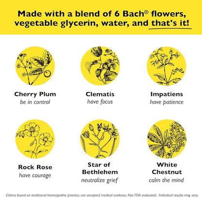 Bach Rescue Sleep Dropper, Natural Sleep Aid, Homeopathic Flower Essence, Free of Melatonin, Sugar, & Gluten, Family-Friendly, Non-Alcohol Formula, 2 Pack, 20mL Ea