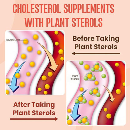 Cholesterol Supplement with Plant Sterols & Stanols, Guggul, Bergamot Orange Extract, Red Yeast Rice, Cholesterol Complex Gummies, Mixed Berry Flavor, 120 Counts