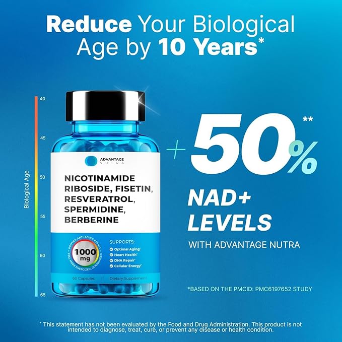 Liposomal Nicotinamide Riboside NR Supplement Resveratrol NAD : Nicotinamide 500mg w/Fisetin, Resveratrol Powder Spermidine Berberine NAD Resveratrol Supplement 500 mg - 60 caps 1 Pack