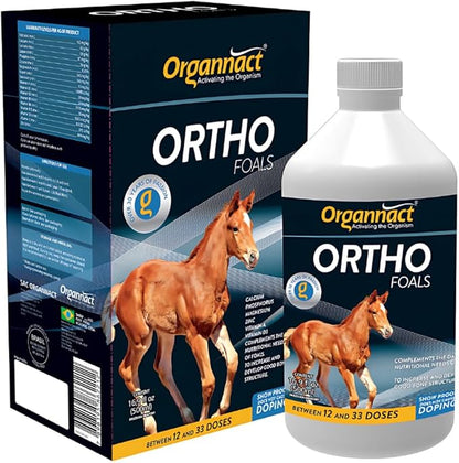 Organnact Ortho Foals - Foal Growth and Development Supplement - Supports Bone, Tendon, and Cartilage Health - Non-Doping, Highly Palatable - 16.9 Fl Oz