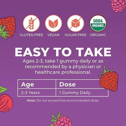 MARYRUTH'S Organic Toddler Multivitamin Gummies | Ages 4+ | Vitamin A, C, D, E, B6, B12, Biotin, Iodine, Zinc | Immunity | Bone & Teeth Health | Skin & Vision Support | Vegan | Gluten Free | 60 Count