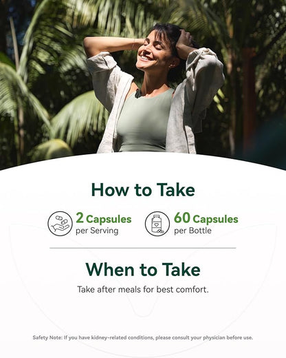 Inner Brightness Moringa Capsules 1000mg Per Serving – 10:1 Moringa Leaf Extract Green Superfood for Energy & Immune Support – Vegan, Non-GMO, 60 Count, Made in USA