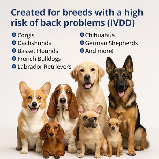 Under the Weather Disc & Spine Health Powder for Dogs | Spinal Disc Support | Vet Formulated Dog Joint Supplement for Long-Backed Breeds | IVDD Dog Supplies | Chicken Flavor Packets - 30 Day Supply M