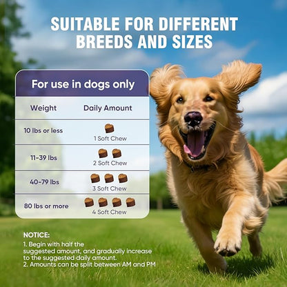Glucosamine for Dogs 200pcs Joint Support Supplement Dog Hip and Joint Chondroitin Chews Treats with MSM Dog Joint Pain Relief Mobility Supplements Chicken Flavor Fit All Large Small Medium Breed
