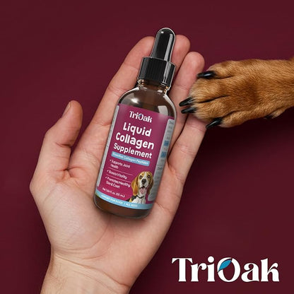 Liquid Collagen Supplement Drops for Dogs: Hip & Joint Support, Skin & Coat Health, Itch Relief in One Daily Supplement with Bioactive Collagen Peptides - Pure Formula Support for All Dog Sizes & Ages