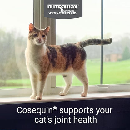 Nutramax Cosequin for Cats Joint Health Supplement, Contains Glucosamine for Cats, Plus Chondroitin, & Omega-3s, Supports Joint and Skin & Coat Health, Sprinkle Capsules, 80 Count (Pack of 2)