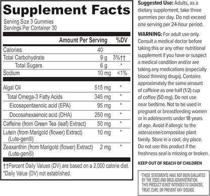 ONNIT Alpha Brain Neuro Focus Gummies, IGEN Non-GMO Tested Vegan Gummies with Omega-3s Lutein Zeaxanthin and Caffeine, Brain Eye and Focus Supplement for Men and Women, Citrus Punch, 90 Count