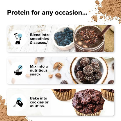 Complement Vegan Chocolate Protein Powder - Organic Protein Low Carb, Low Calorie, Sugar Free, Soy Free, Non-GMO, Gluten Free - 15g Yellow Pea, Pumpkin Seed Protein Powder (15 Servings)