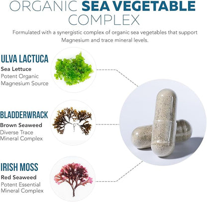Organic Whole Food Magnesium Supplement - Plant-Based, Organic Sea Vegetable Complex - 250 mg Per Serving | Water Extracted | Gentle on Stomach | Supports Energy, Sleep, Muscle, Heart - 60 Capsules