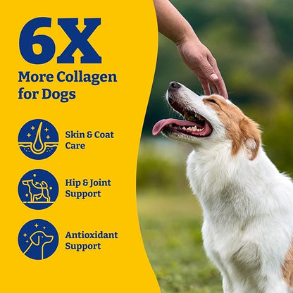 Collagen for Dogs - Collagen Soft Chews for Hip, Joint, Cartilage & Mobility Support, Skin & Coat Supplement for Dogs, with Types I, II & III Collagen and Superfood - 120 Count, Duck & Pear Flavor