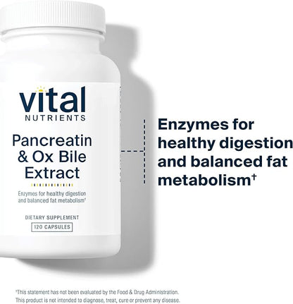Vital Nutrients Pancreatin & Ox Bile Extract 500mg - Natural Digestive Enzymes for Women & Men - Supports Digestion of Protein, Fat, and Carbohydrates*- Gluten, Dairy & Soy Free - 120 Capsules