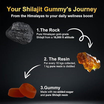 vitacoreHimalayan Shilajit Gummies for Men & Women - Pure Gold Energy Boost, 85+ Trace Minerals & Fulvic Acid, Gluten-Free, 60 Gummies