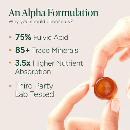 ROOT LABS 10-in-1 Alpha Shilajit Gummies | 4000 mg Pure Himalayan Shilajit with Tongkat Ali & Maca Root | for Men & Women | ShilAbsorb Bioavailability Tech | Sugar-Free, Vegan | 120 Gummies