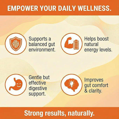 Balance ONE Candida Cleanse & Yeast Support Complex – Caprylic Acid, Undecylenic Acid, Berberine & Oregano Leaf – Gut Flora Balance for Women & Men – 90 Delayed Release Capsules – CandAssist