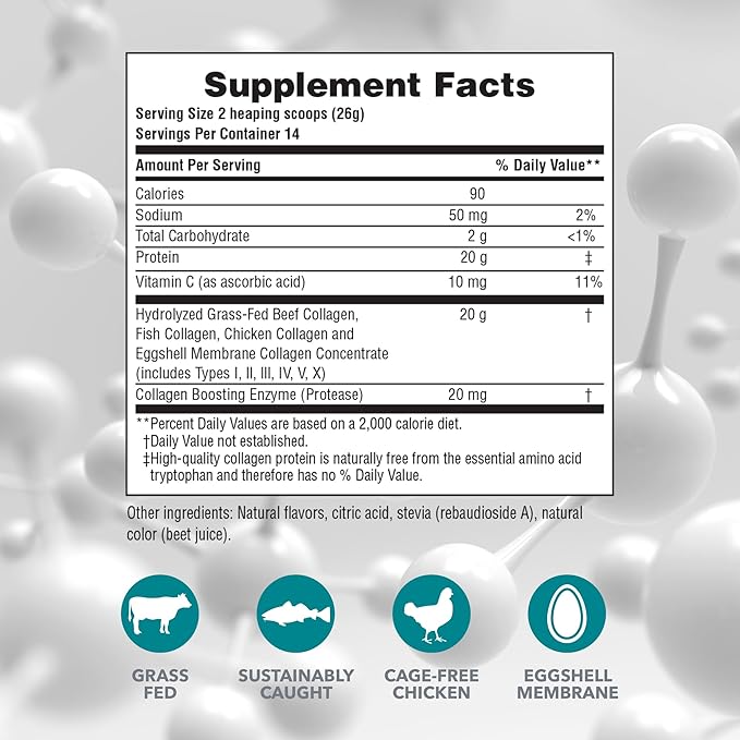 NaturesPlus Collagen Peptides, Berry Lemonade - 0.8 lb Powder, Pack of 2 - Hair, Skin, Nail & Joint Health, Immune System Support - Non-GMO, Gluten Free - 28 Total Servings