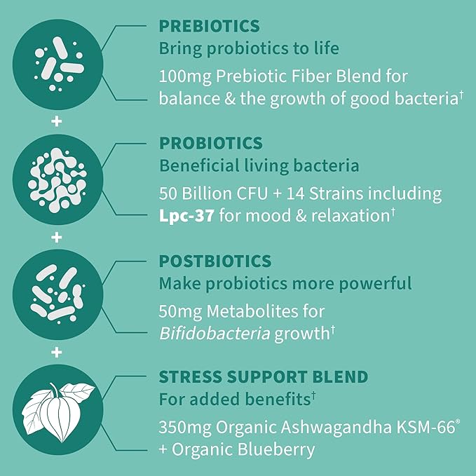 Garden of Life Dr. Formulated Pre,Post & Probiotics Calm 50 Billion CFU Daily 3-in-1 Complete Supplement with Ashwagandha – Mood Support,Digestive & Immune Support,30 Vegetarian Capsules,(Pack of 2)