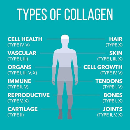 NaturesPlus Collagen Peptides, Vanilla - 0.8 lb Powder - Hair, Skin, Nail & Joint Health, Immune System Support - Non-GMO, Gluten Free - 14 Servings