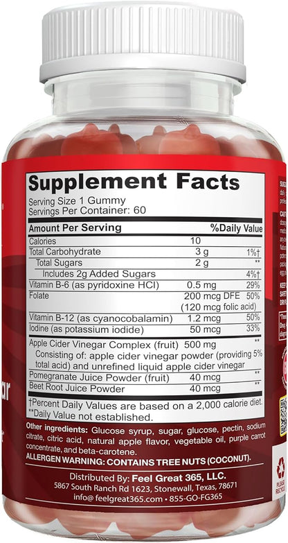 Feel Great Apple Cider Vinegar Gummies for Kids | Rich in Digestive Enzymes & Natural Antioxidants for Gut Health | Vegan Gummy Supports Healthy Nutrient Absorption | 60 Day Supply