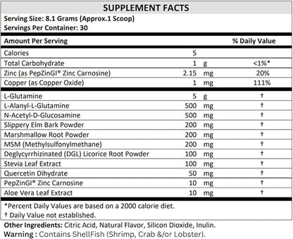 TERRA ORIGIN Healthy Gut Powder (Honey Lemon) | 30-Servings with L-Glutamine, Zinc, Glucosamine, Slippery Elm Bark and More!