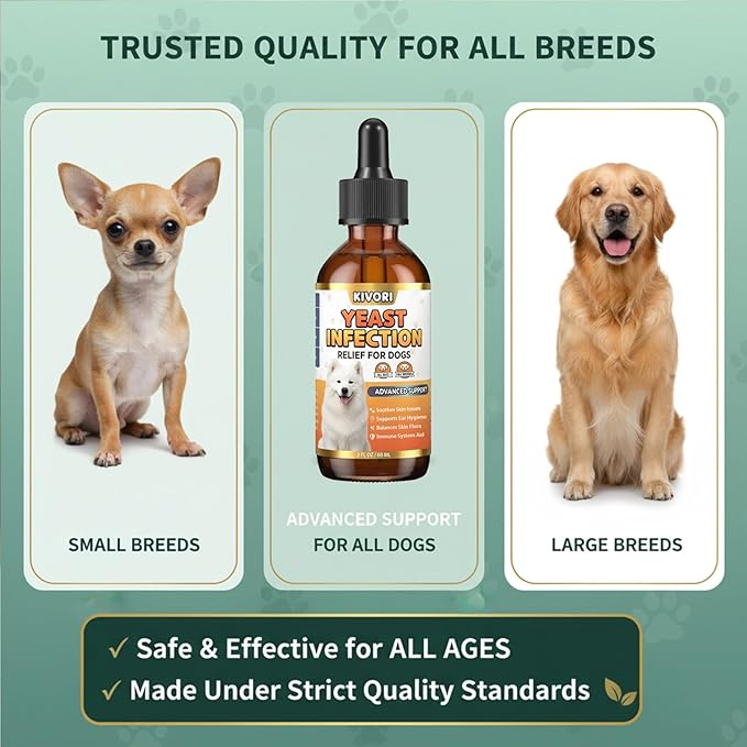 Kivori Yeast Infection Drops for Dogs - Natural Herbal Yeast Drops for Dog Ear, Paw & Skin Itch Relief - All Breeds Anti-Yeast Supplement - 2 fl oz (60ml)