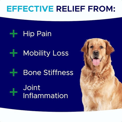 Dog Joint Supplement Large Breed - Glucosamine & Chondroitin Treats for Dogs - Supplement w/Omega-3, MSM - Made in USA - Joint Pain Relief - 240 Mobility Chews
