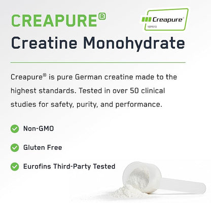 SteelFit Creapure Creatine Monohydrate Powder, Unflavored - German Micronized Creatine Powder for Men & Women - Gym Workout Nutritional Supplements for Muscle Gain, Brain Health & Strength Building