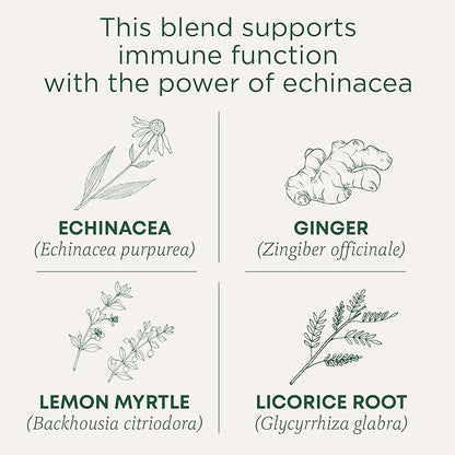 Traditional Medicinals Tea, Organic Immune Zoom Lemon Ginger - Supports Immune Function - Kosher, Non-GMO, Caffeine-Free, Compostable - 48 Tea Bags (3 Pack)