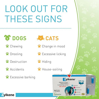 Vetoquinol Zylkene Calming Support Supplement for Medium Dogs 33-65lbs Promotes Relaxation, Reduces Stress, and Supports Occasional Anxiety Relief for Dogs, 225mg - 14 Capsules