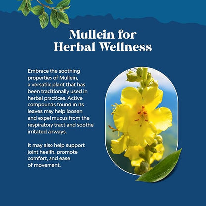 Organic Mullein Drops for Lungs - Lung Detox & Cleanse with Marshmallow Root Extract & Plantain Leaf for Respiratory Lung Health - Mullein Leaf Tincture Drops for Breathing Support - 4 Fl Oz (2 Pack)