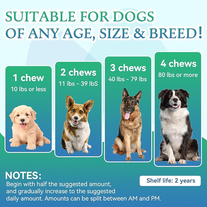 Joint Supplement for Dogs - Dog Joint Supplement Glucosamine Hip and Joint Chondroitin Chews Treats for Dogs with MSM Lipid Mussels Vitamins Dog Joint Support for All Breed 200pcs