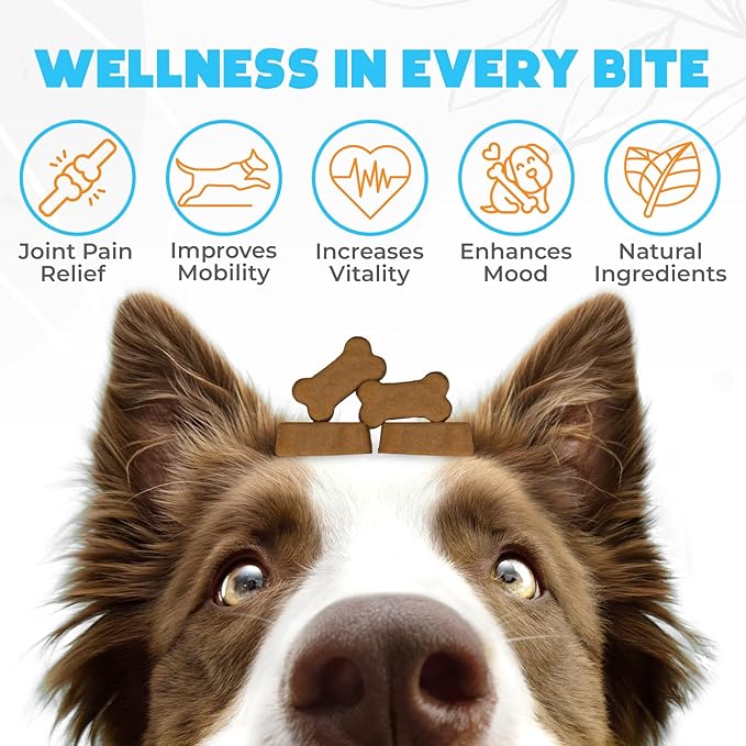 ZENO Glucosamine HCL & Hip and Joint Chews for Dogs - 150 pcs - Advanced Hip and Joint Support for Senior Dogs - with MSM & Green Lipped Mussel - Duck