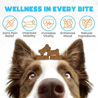 Glucosamine HCL & Hip and Joint Chews for Dogs - 150 pcs - Advanced Hip and Joint Support for Senior Dogs - with MSM & Green Lipped Mussel - Chicken