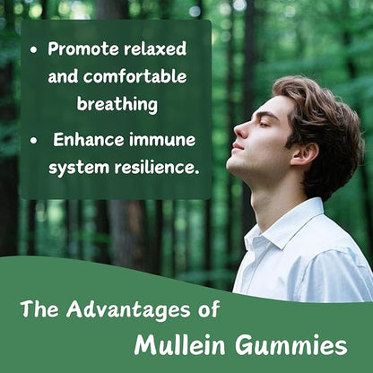 2 Packs Organic Mullein Gummies for Lungs, 2000MG Mullein Leaf Extract Supplement | Quercetin, Bromelain for Respiratory & Immune Support | Vegan, Sugr-Free, Mango Flavor | 120 Count