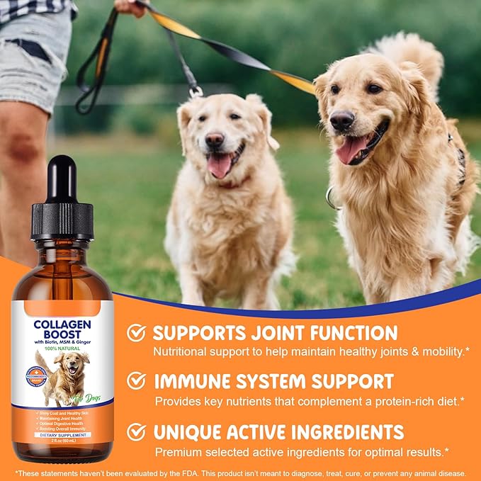 Collagen for Dogs 60ml, Liquid Dog Collagen Drops, Liquid Collagens for Dogs Joints, Skin & Coat, Support Dog Itchy Skin Relief & Digestive Health, Pet Supplement with Biotin,MSM&Ginger, Bacon Flavor