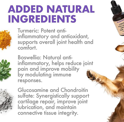 Premium Grass-Fed Collagen for Dogs & Cats Liquid Drops Supplement Daily Formula Support Hip & Joint Skin Coat Gut Hydrolyzed Type I & III Bovine Protein Beef Flavor All Dog and Cat Sizes & Ages
