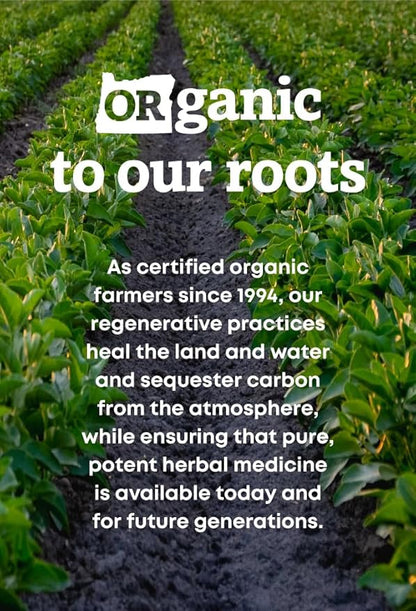 Oregon's Wild Harvest Non-GMO Chaste Tree Capsules,Organic Herbal Supplements, 90 Count