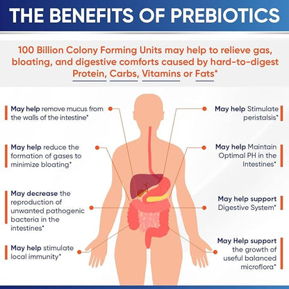 Wholesome Wellness Organic Raw Probiotics 100 Billion CFU, Dr Formulated for Women and Men, Complete Adult Supplement with Prebiotics and Digestive Enzymes; 30 Capsules, Shelf Stable