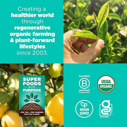 Navitas Organics Lemon Matcha Cashew Superfood+ BITES – Power Snacks – All Natural Plant Based – Clean Energy & Nutrition – USDA Organic, Non GMO, Gluten Free, Soy Free, Vegan (8oz. Bag 11 Servings)