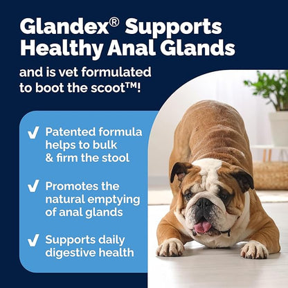 Vetnique Glandex Anal Gland Soft Chew Treats with Pumpkin for Dogs Digestive Enzymes, Probiotics Fiber Supplement for Dogs Boot The Scoot (Bacon Flavor Chews, 60 Count)