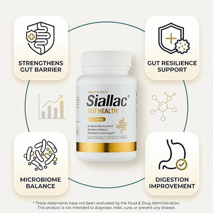 Gut Health - Gut Barrier Function, Epithelial Cell Growth, Immune Support, Enhances Nutrient Absorption, Microbiome Balance (HMO 3'-SL) (3-Pack | Best Value)