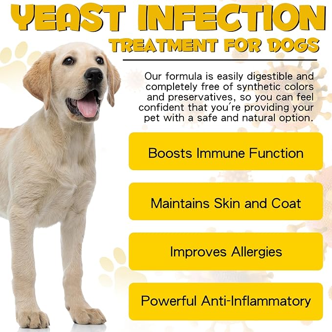 2Pack Yeast Infection Treatment for Dogs - Natural Support Drops for Dog Itch Relief, Ear Infection, Allergy & Inflammation Relief, Dog Yeast Infection Treatment (2 x 2 Fl Oz)