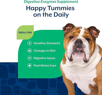 NaturVet – Digestive Enzymes - Plus Probiotics & Prebiotics – Helps Support Diet Change & A Healthy Digestive Tract – for Dogs (Soft Chews, 70 Count)