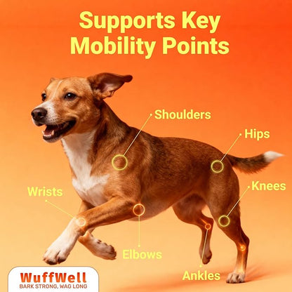 WuffWell Liquid Glucosamine for Dogs Hip & Joint Support with Chondroitin, MSM & Hyaluronic Acid, Dog Joint Supplement for Mobility & Cartilage Health, Easy Pump Dosage, All Breeds, Made in USA, 16oz
