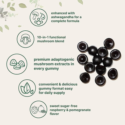 Micro Ingredients Mega Mushroom Gummies | 10-in-1 with Lions Mane, Turkey Tail, Reishi, Cordyceps, Chaga, Maitake, & Ashwagandha | Sugar-Free Raspberry Pomegranate Flavor | Non-GMO | 120 Count