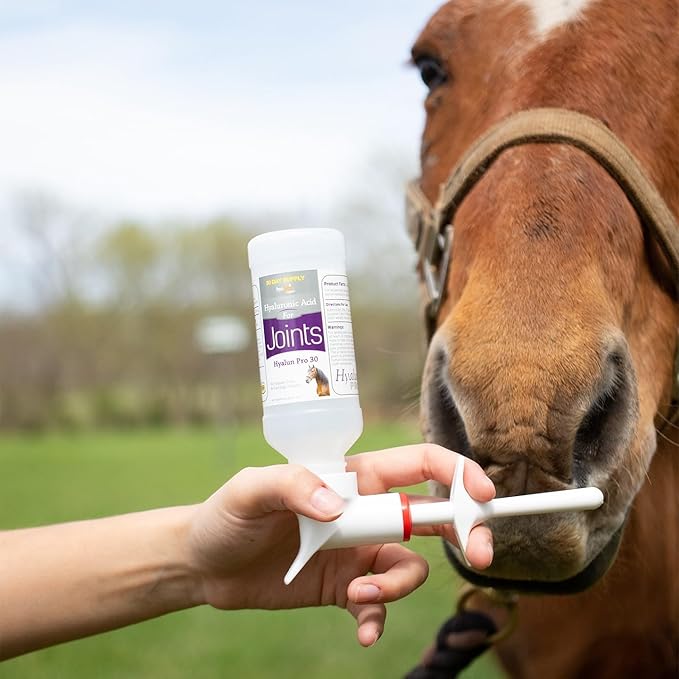 Hyalogic Hyaluronic Acid for Horses 90 Day Supply Easy Oral Tip Dispenser - Liquid HA Supplement for Equine Joints and Cartilage Support - Hyalun Pro - 9 oz / 296 ml
